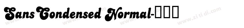 SansCondensed Normal字体转换